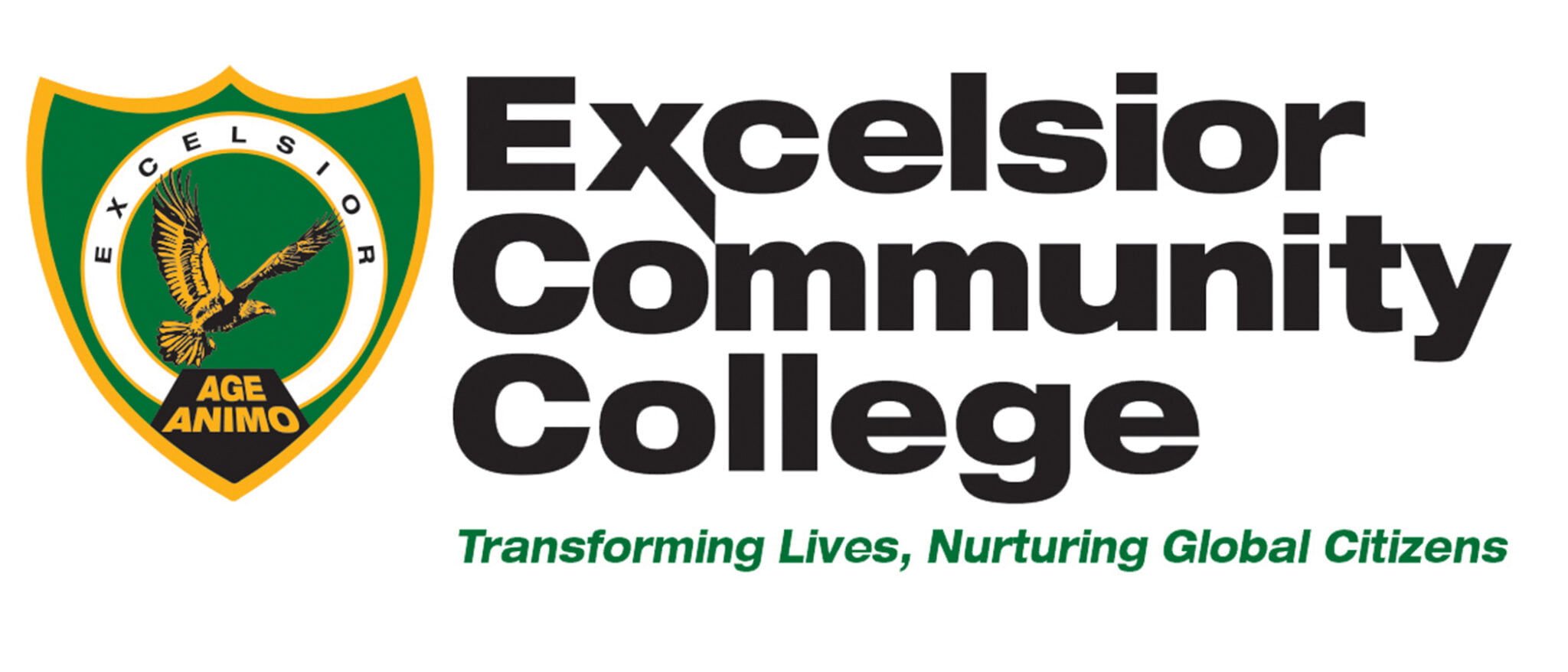 Happy New Year – Excelsior Community College